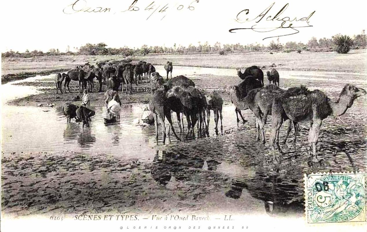Sud oranais 049.jpg